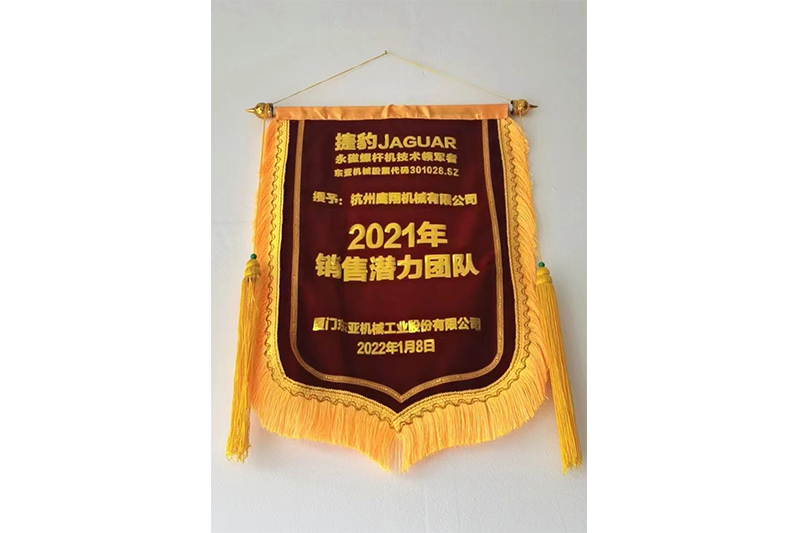 销售潜力团队奖